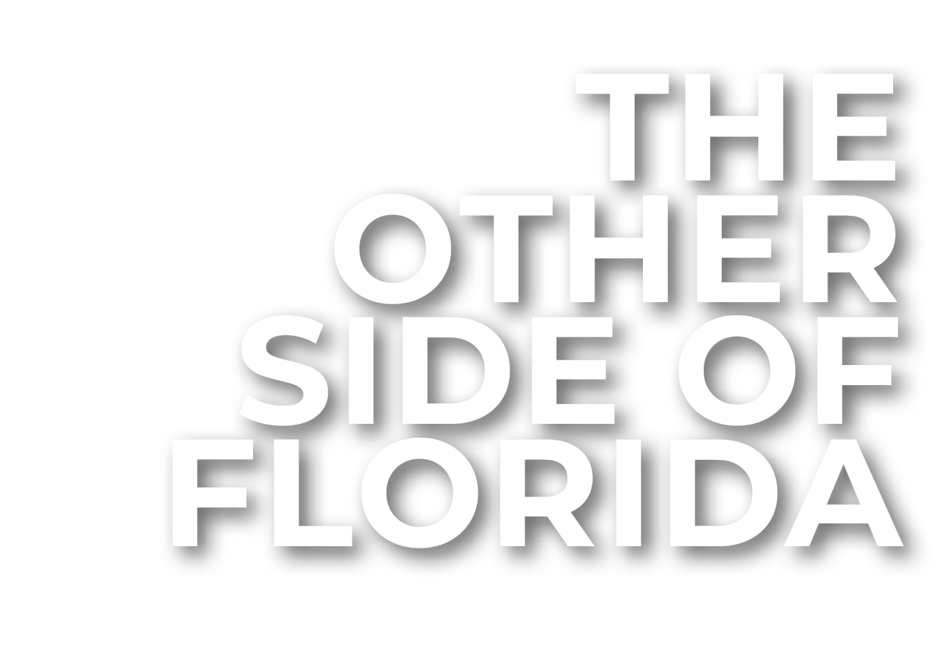 THE OTHER SIDE OF FLORIDA
