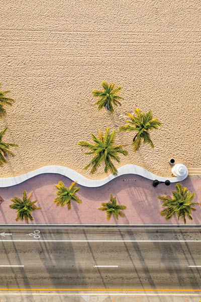 Aerial top view of Fort Lauderdale Beach walkway with palm trees, Florida