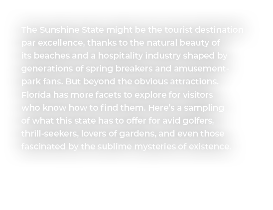 The Sunshine State might be the tourist destination par excellence, thanks to the natural beauty of its beaches and a...