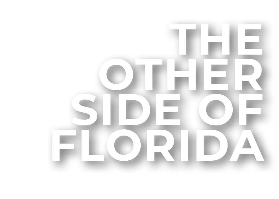 THE OTHER SIDE OF FLORIDA