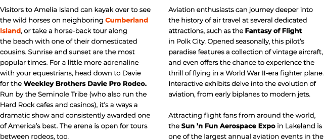 Visitors to Amelia Island can kayak over to see the wild horses on neighboring Cumberland Island, or take a horse bac...