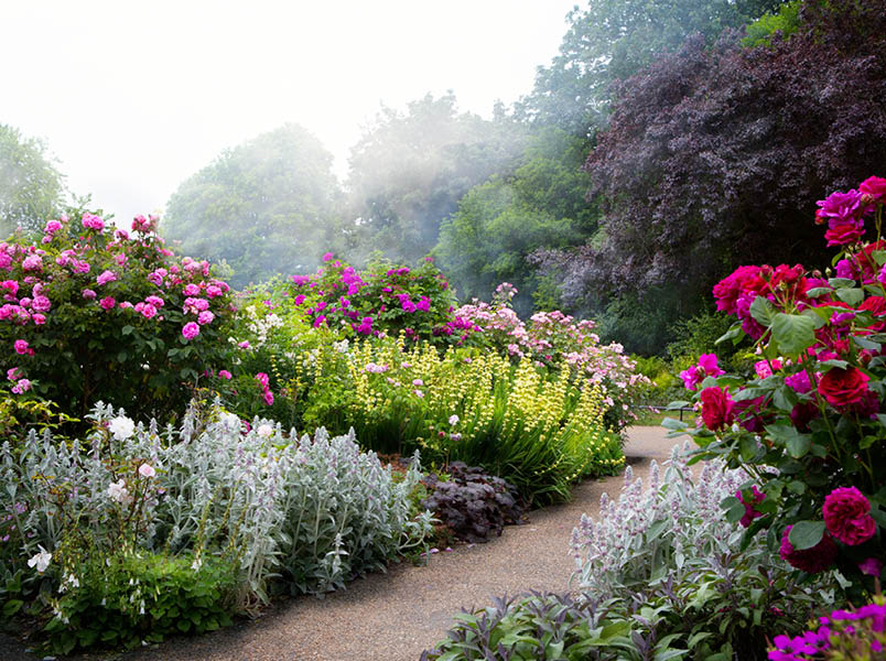 Art flowers in the morning in an English park