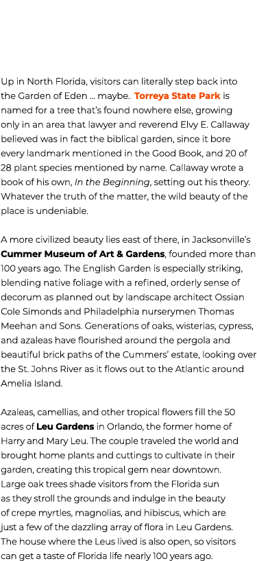 Up in North Florida, visitors can literally step back into the Garden of Eden … maybe.. Torreya State Park is named f...