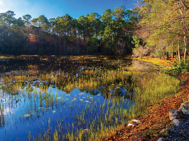 St. Marks National Wildlife Refuge at sunrise. It encompasses 68,000 acres spread between Wakulla, Jefferson, and Taylor Counties in the state of Florida.