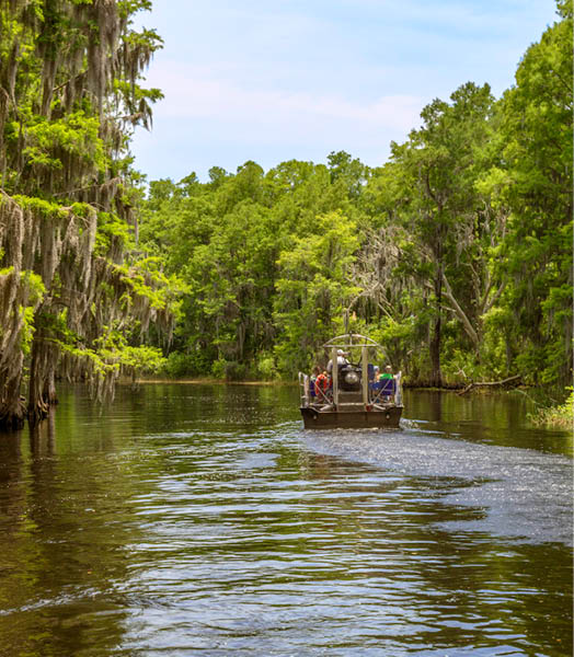 An Airboat ride down Shingle Creek near Kissimmee, Florida where Birders and Tourists enjoy the eco-tourism opportunities found there on a year-round basis.