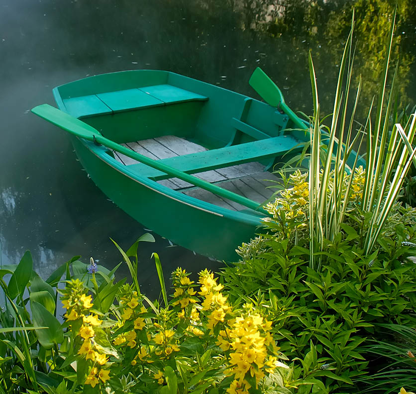 Row boat on a foggy lake surrounded by flowers and tall grass. Row boat is turquoise blue with paddles. Flowers are yellow.