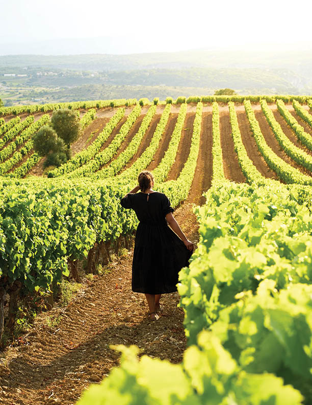 Woman in black dress walking at sunset through vineyard in the Luberon in Provence in southern France