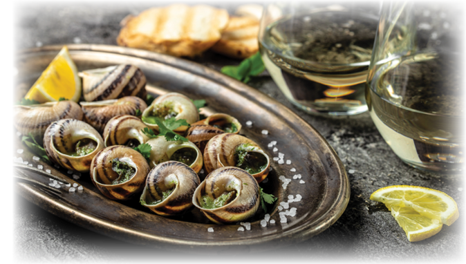 Baked snails with butter and spice on dark background. Snails baked with sauce, Bourgogne Escargot Snails. gourmet food. concept of french cuisine, Long banner format. top view.