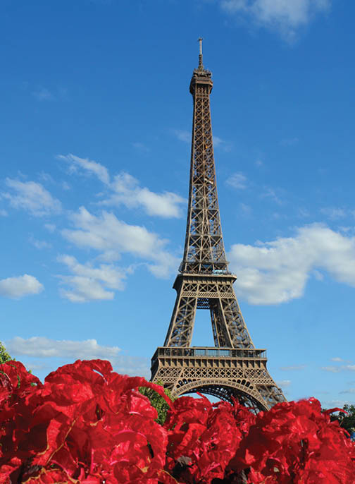 Paris, France, Eiffel Tower, downtown,