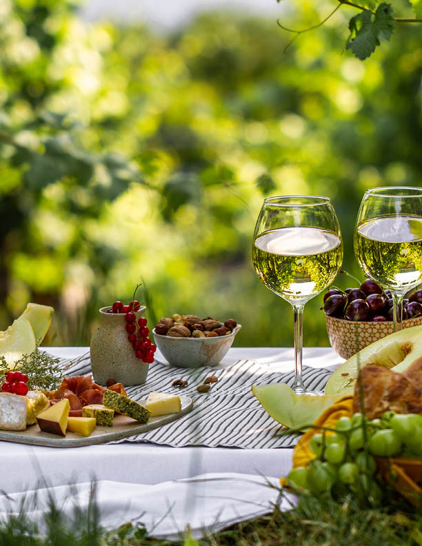 Picnic with glasses of white wine on a vineyard. Two glasses of white wine, cheese, bread, grape, berries, melon.