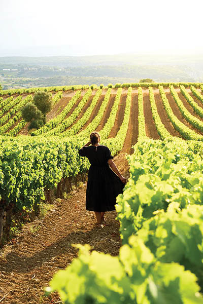 Woman in black dress walking at sunset through vineyard in the Luberon in Provence in southern France