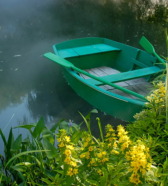 Row boat on a foggy lake surrounded by flowers and tall grass. Row boat is turquoise blue with paddles. Flowers are yellow.