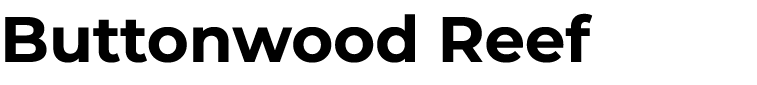 Buttonwood Reef