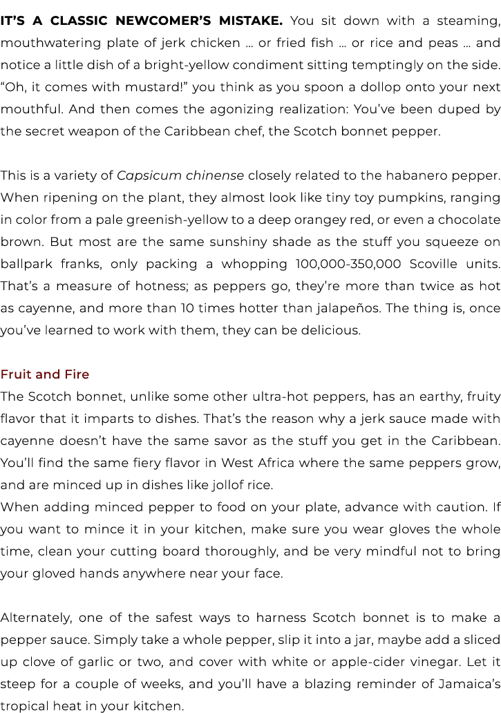 It’s a classic newcomer’s mistake. You sit down with a steaming, mouthwatering plate of jerk chicken … or fried fish ...