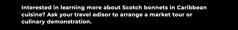 Interested in learning more about Scotch bonnets in Caribbean cuisine? Ask your travel adisor to arrange a market tou...