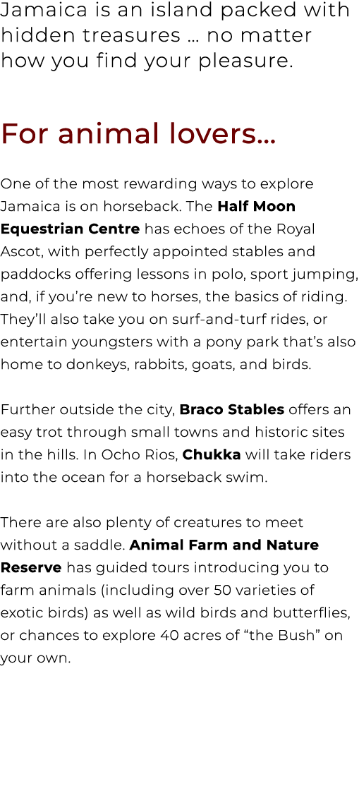 Jamaica is an island packed with hidden treasures … no matter how you find your pleasure. For animal lovers… One of t...