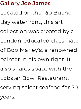 Gallery Joe James Located on the Rio Bueno Bay waterfront, this art collection was created by a London educated class...