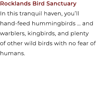 Rocklands Bird Sanctuary In this tranquil haven, you’ll hand feed hummingbirds … and warblers, kingbirds, and plenty ...