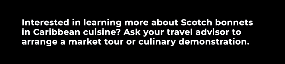 Interested in learning more about Scotch bonnets in Caribbean cuisine? Ask your travel advisor to arrange a market to...