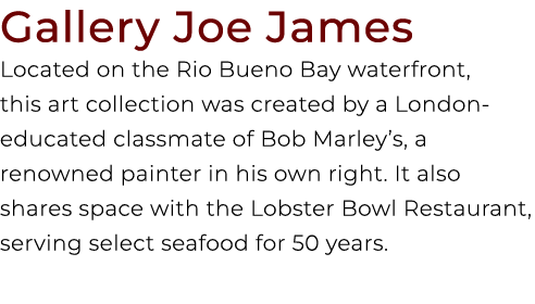 Gallery Joe James Located on the Rio Bueno Bay waterfront, this art collection was created by a London educated class...