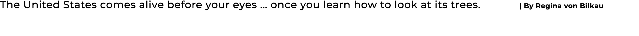 The United States comes alive before your eyes … once you learn how to look at its trees. | By Regina von Bilkau 