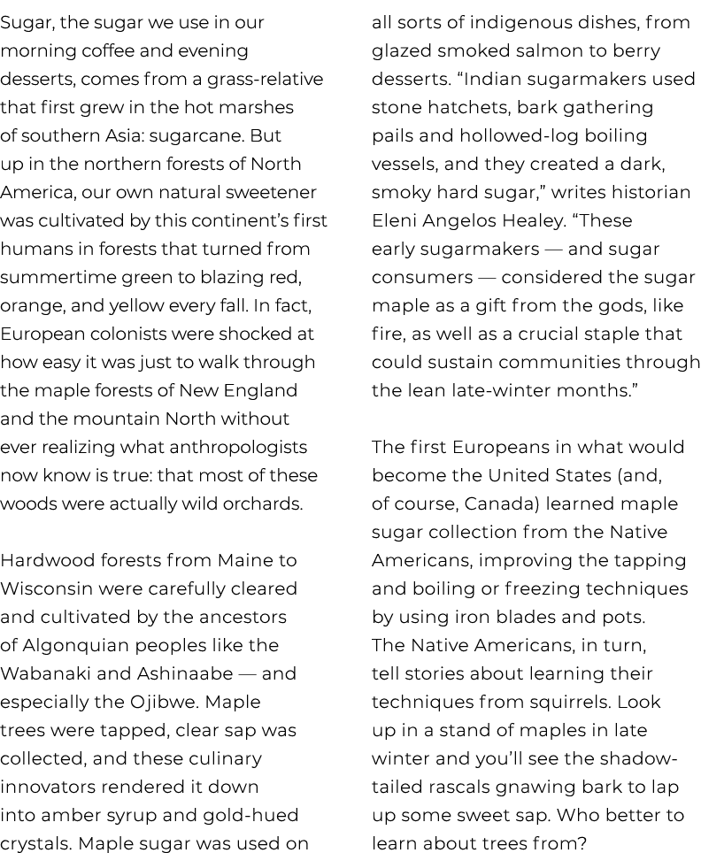 Sugar, the sugar we use in our morning coffee and evening desserts, comes from a grass relative that first grew in th...