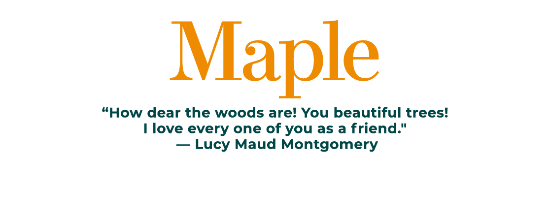 Maple “How dear the woods are! You beautiful trees! I love every one of you as a friend.\“ — Lucy Maud Montgomery 