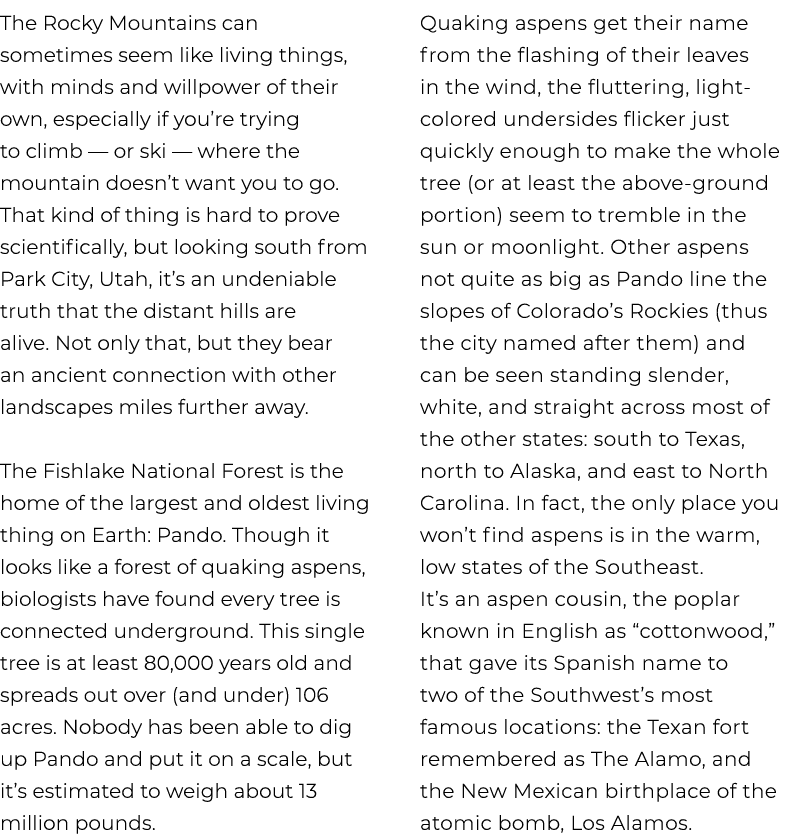 The Rocky Mountains can sometimes seem like living things, with minds and willpower of their own, especially if you’r...