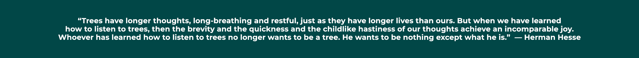 “Trees have longer thoughts, long breathing and restful, just as they have longer lives than ours. But when we have l...