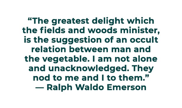 “The greatest delight which the fields and woods minister, is the suggestion of an occult relation between man and th...