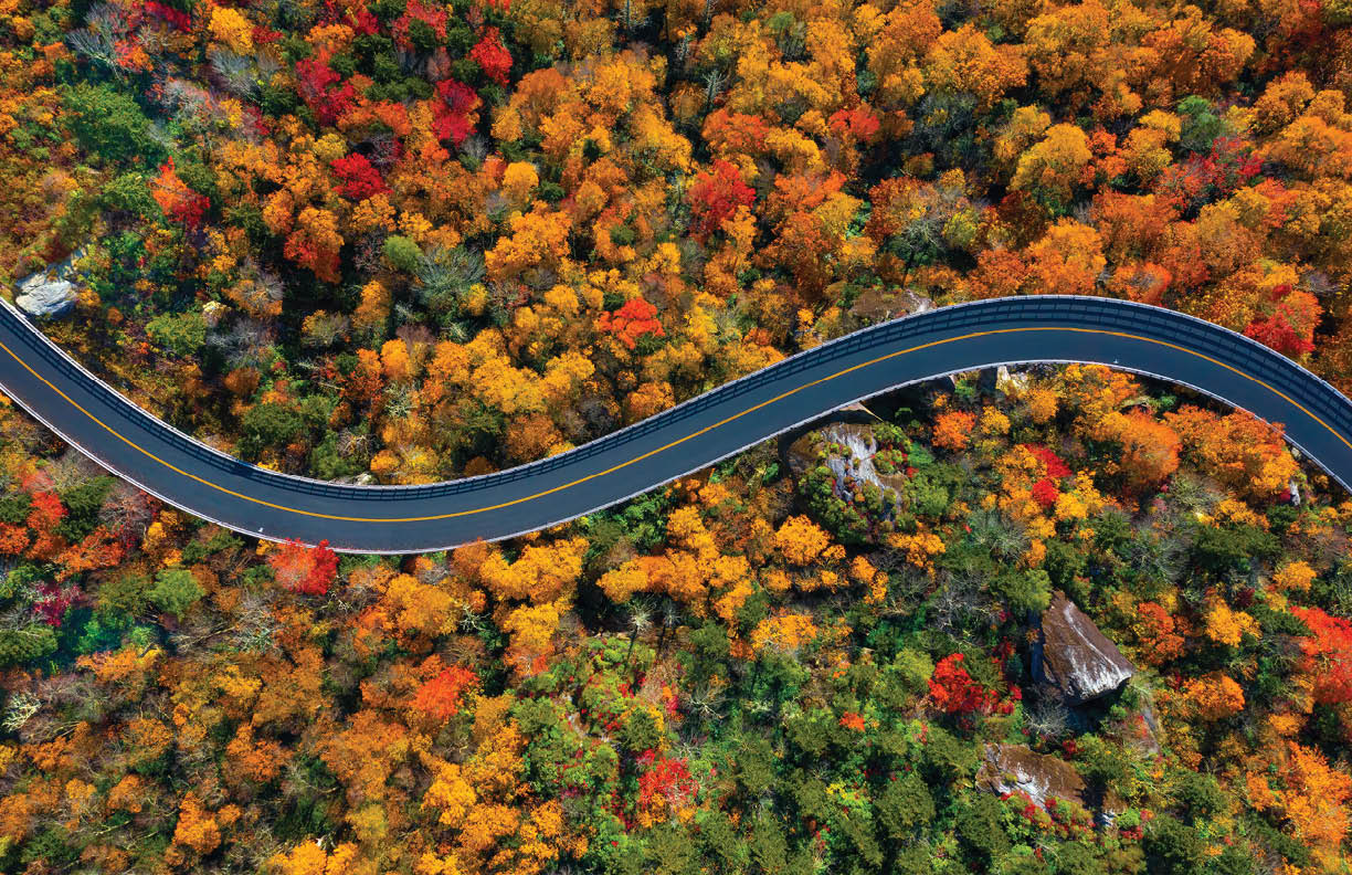 Road through the Blue Ridge Parkway mountains of North Carolina during the Fall.