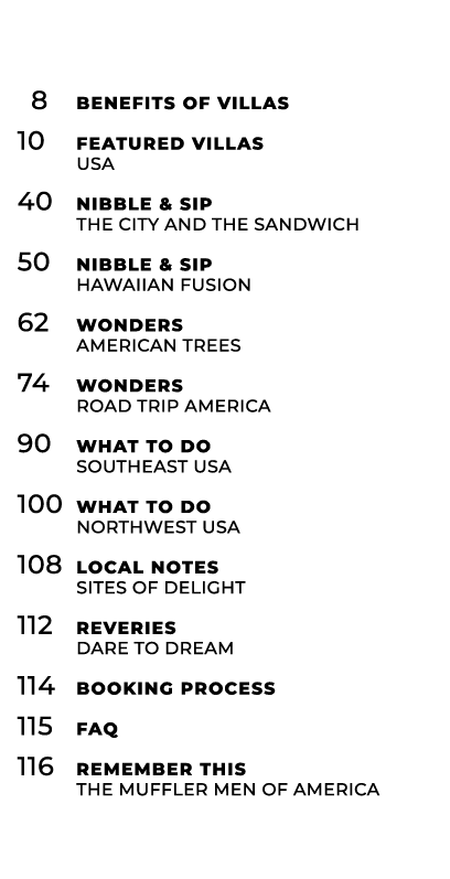  8 Benefits of Villas 10 Featured Villas USA 40 Nibble & Sip The CIty and the sandwich 50 Nibble & Sip Hawaiian Fusio...