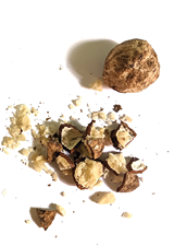 Dried candlenuts that have been ground on a white background