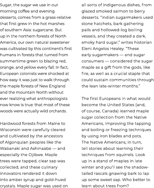 Sugar, the sugar we use in our morning coffee and evening desserts, comes from a grass relative that first grew in th...