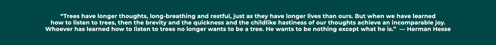 “Trees have longer thoughts, long breathing and restful, just as they have longer lives than ours. But when we have l...