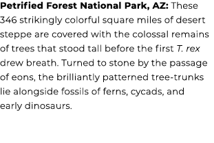 Petrified Forest National Park, AZ: These 346 strikingly colorful square miles of desert steppe are covered with the ...