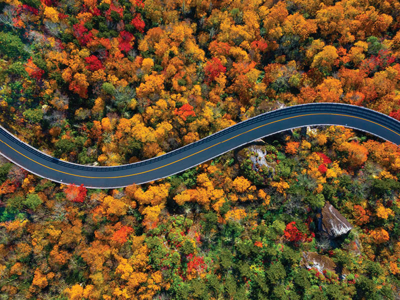 Road through the Blue Ridge Parkway mountains of North Carolina during the Fall.