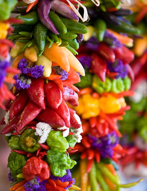 colorful hot chilli peppers