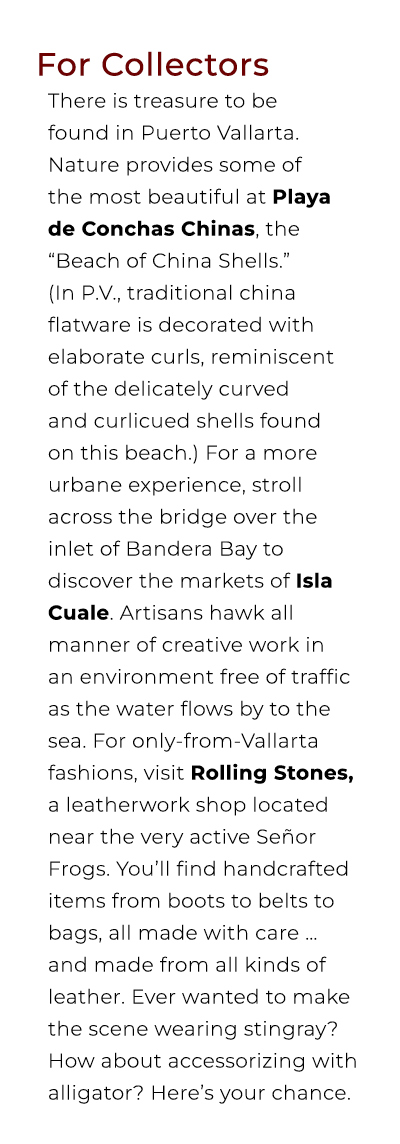 For Collectors There is treasure to be found in Puerto Vallarta. Nature provides some of the most beautiful at Playa ...