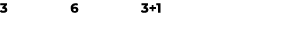 3 6 3+1