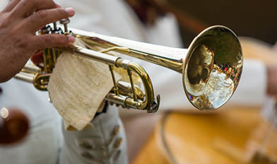 Trumpet performance at the concert day