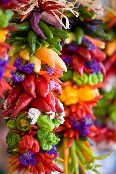 colorful hot chilli peppers