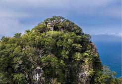 Cerro del Mono is a beautiful mountain covered by trees and popular destination for tourist coming from nearby Puerto Vallarta. Monkey mountain is Located in state Nayarit in Mexico.