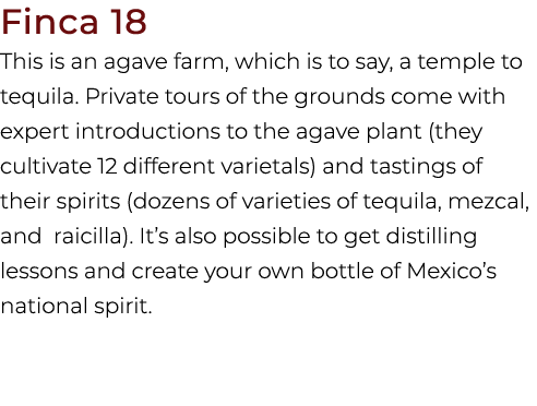 Finca 18 This is an agave farm, which is to say, a temple to tequila. Private tours of the grounds come with expert i...