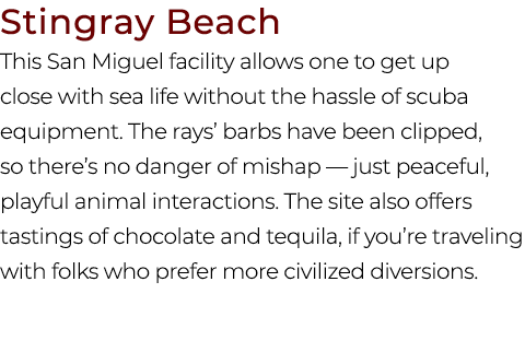 Stingray Beach This San Miguel facility allows one to get up close with sea life without the hassle of scuba equipmen...