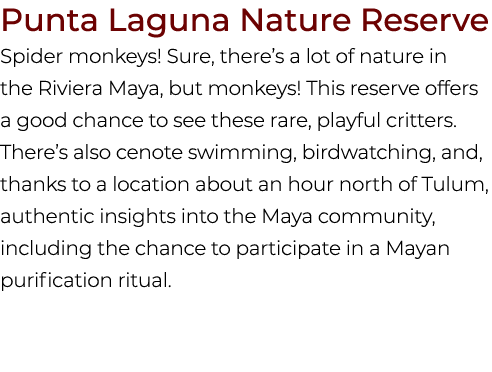 Punta Laguna Nature Reserve Spider monkeys! Sure, there’s a lot of nature in the Riviera Maya, but monkeys! This rese...