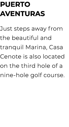 PUERTO AVENTURAS Just steps away from the beautiful and tranquil Marina, Casa Cenote is also located on the third hol...