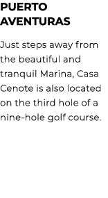 PUERTO AVENTURAS Just steps away from the beautiful and tranquil Marina, Casa Cenote is also located on the third hol...