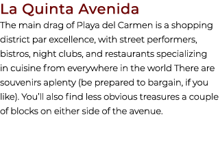 La Quinta Avenida The main drag of Playa del Carmen is a shopping district par excellence, with street performers, bi...