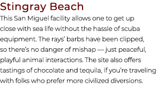 Stingray Beach This San Miguel facility allows one to get up close with sea life without the hassle of scuba equipmen...